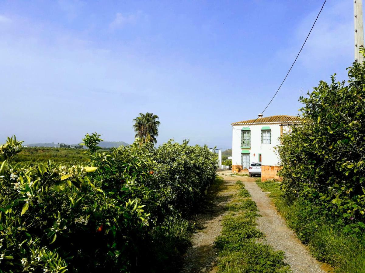 Casa Rural La Estrella Pizarra Extérieur photo